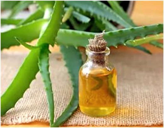 сок растения