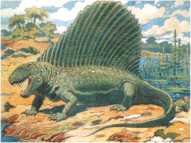 крупный диментрадон