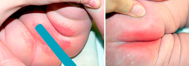 как выглядит