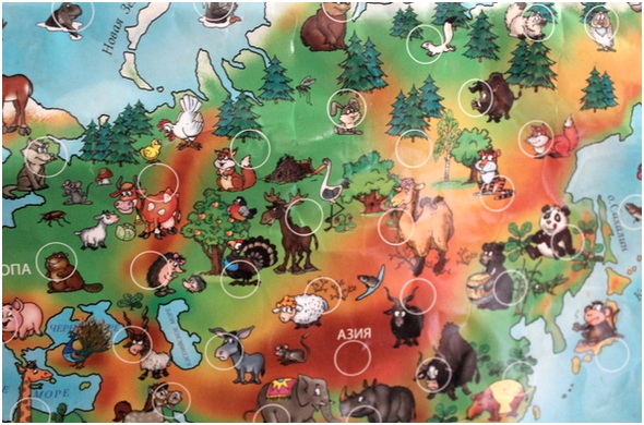 карта со зверюшками