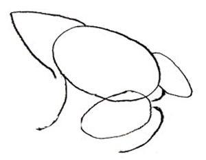 прорисовываем ноги