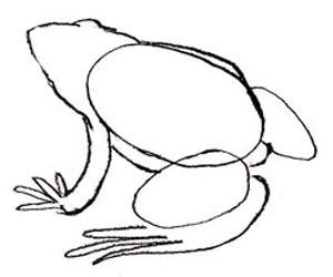 прорисовываем тело