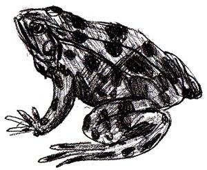 наносим цвет