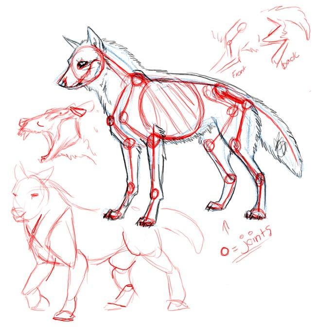 прорисовать суставы