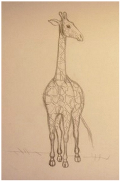 прорисовать пятна