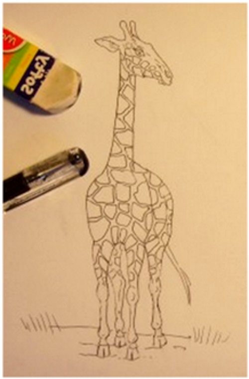 обвести ручкой