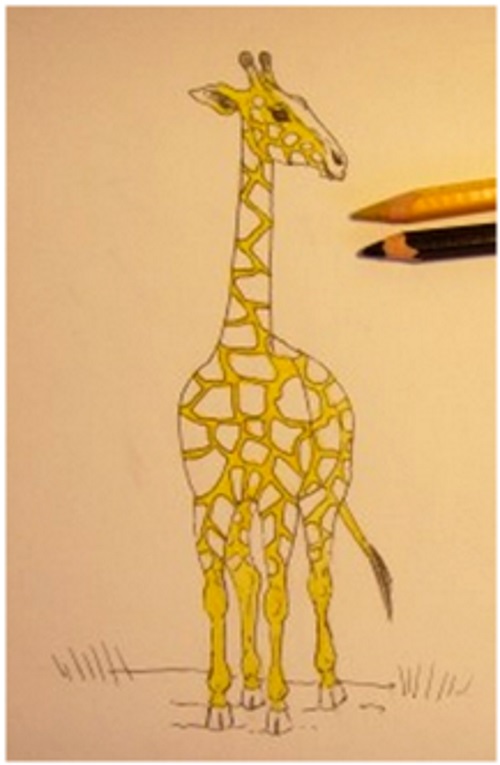 обвести пятна