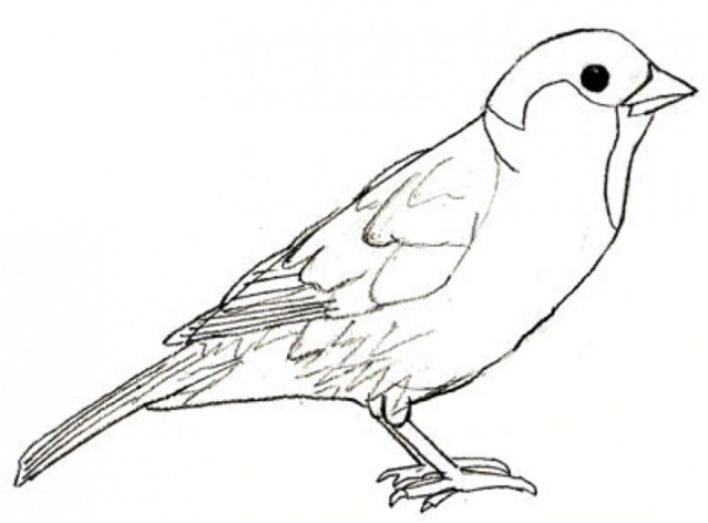 нарисовать гразик