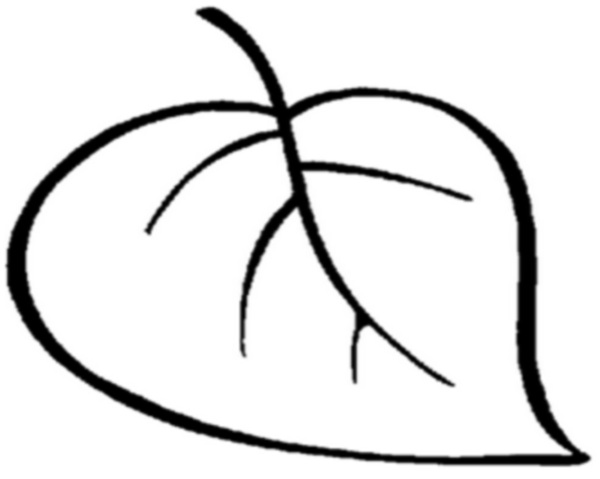 рисовать листик