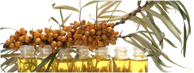 масло из облепихи