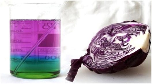 природные индикаторы