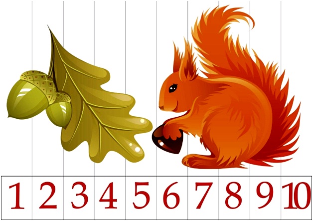 интересная белочка