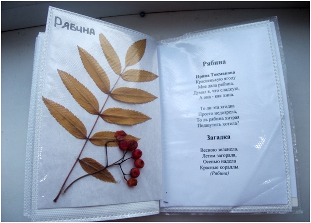 собирать гербарий