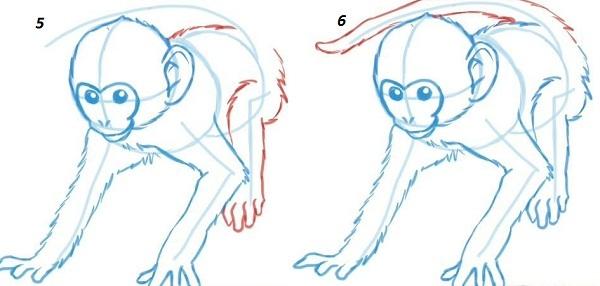 изображаем хвост