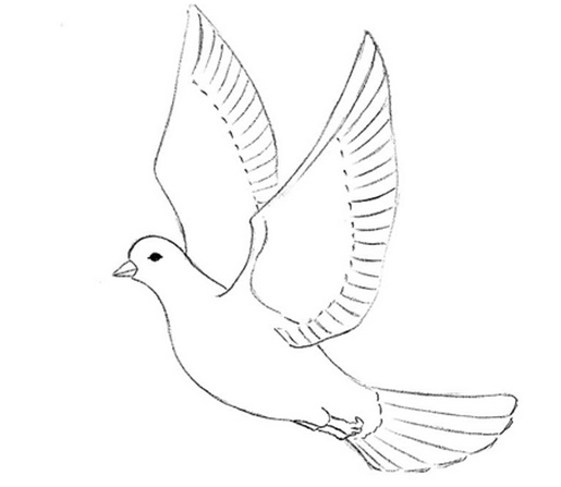 летящий голубь