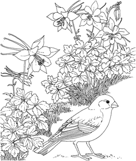 чиж в цветах