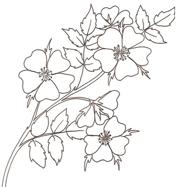 для детей 4 лет