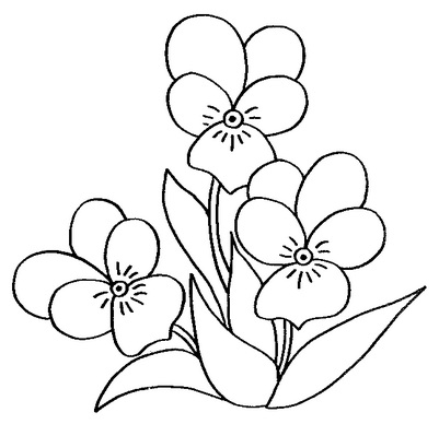 анютины глазки