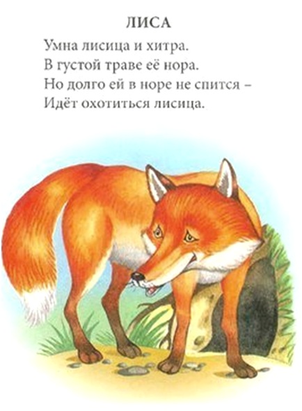 про лисичку