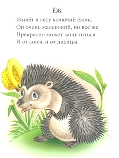 колючий ежик