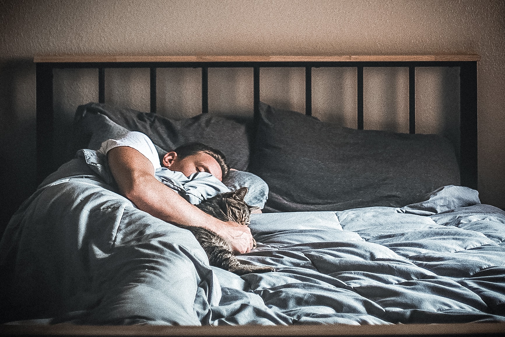 Монофазный сон - фото