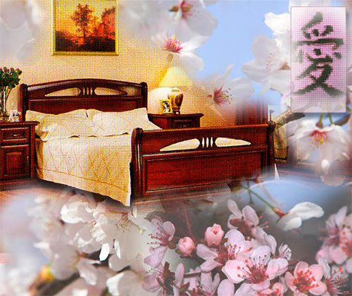 Учение фен-шуй о сне