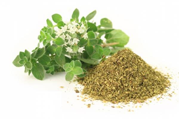 09e5a02b4e56a74cf0605d9a8a9de280_w600_h400_cp