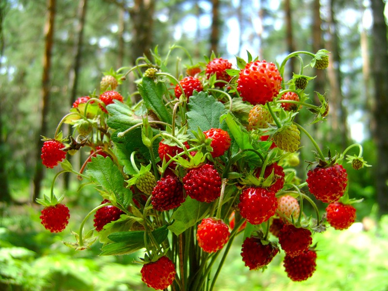 0_2a55c_dc649e06_-2-XL