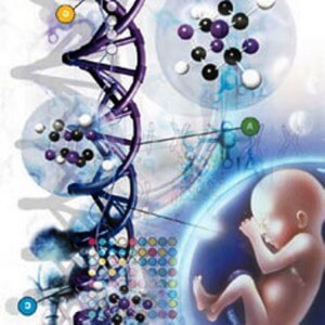 Эмбриональные стволовые клетки