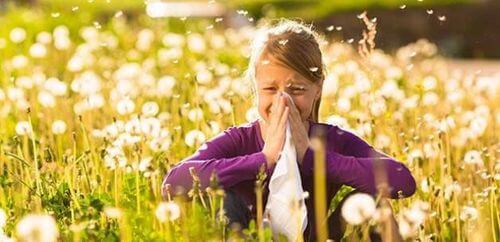 Чем лечить аллергический насморк?