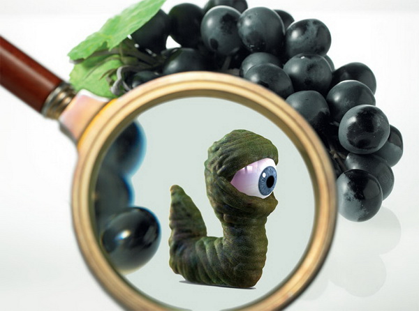 Диагностика гельминтозов