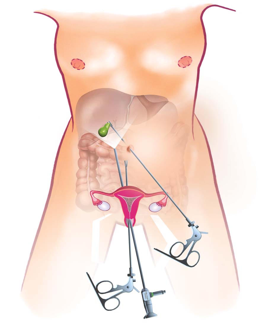 125511_html_m46aab279