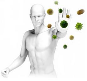 1428062658_481388606