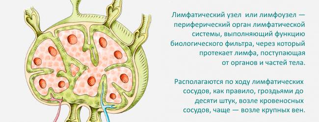 uvelichenie-limfaticheskih-uzlov-2