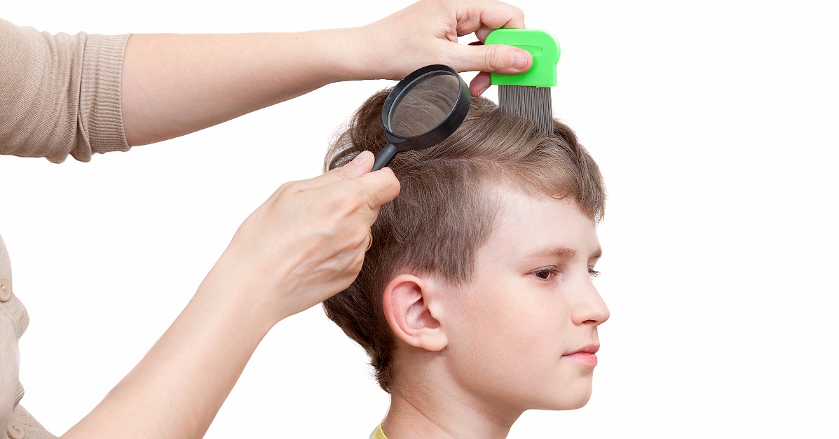 Диагностика педикулеза