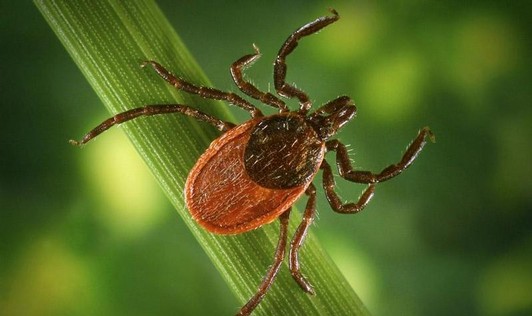 2-2_profimedia_0017629549