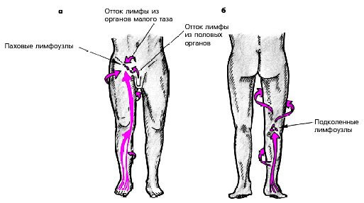 varikoznoe-rasshirenie-ven-malogo-taza-lechenie-troksevazin
