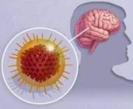 Герпес 6 типа у взрослых