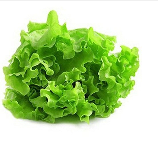 441cdc3faa868b2e15a4681-2