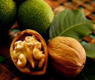 Грецкий орех: польза и вред
