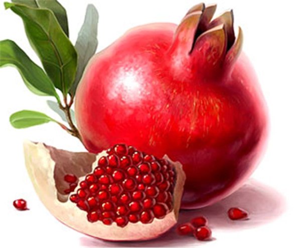 Гранат – древнейшее растение, произрастающее на территории Африки и Азии. О нем можно найти упоминание во всех мировых религиозных учениях, о нем сложены мифы, поучительные истории. Со времен Авиценны и Гиппократа он славился чудодейственными лечебными качествами. Многое в старых трактатах вызывает улыбку. Например, считалось, что гранат повышает мужскую плодовитость, ибо плодовит сам – тысячи и более зерен внутри оболочки были зримым доказательством этого. Несмотря на слабость причинно-следственных построений, тысячелетия лечебной практики доказали целебные свойства этого плода