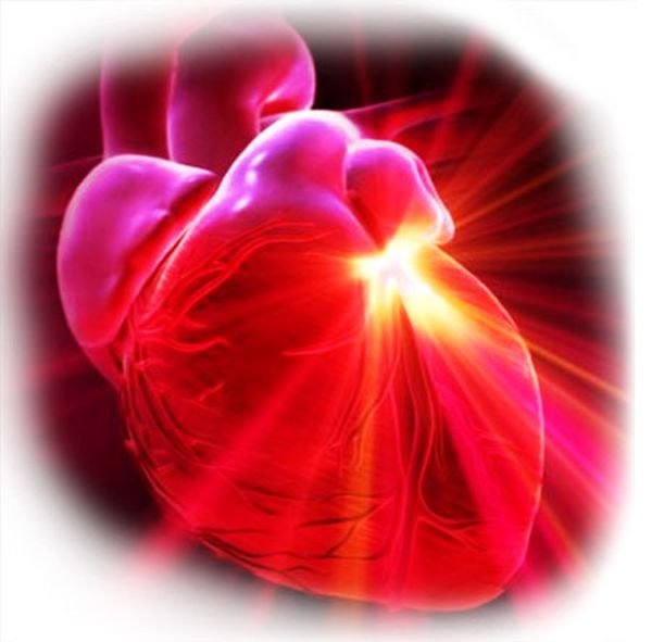 55647-organizaciya-proizvodstva-vakciny-protiv-gepatita-v