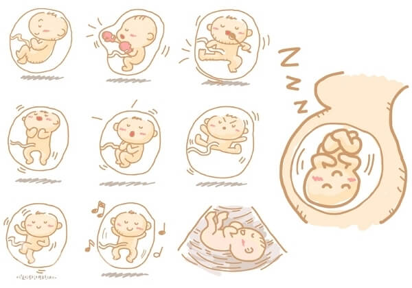 18 nedelya beremennosty