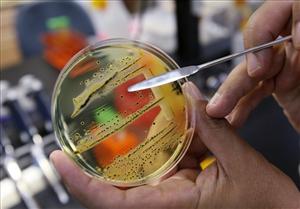 Сальмонеллез