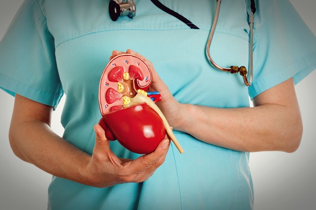 Лечение нефрита