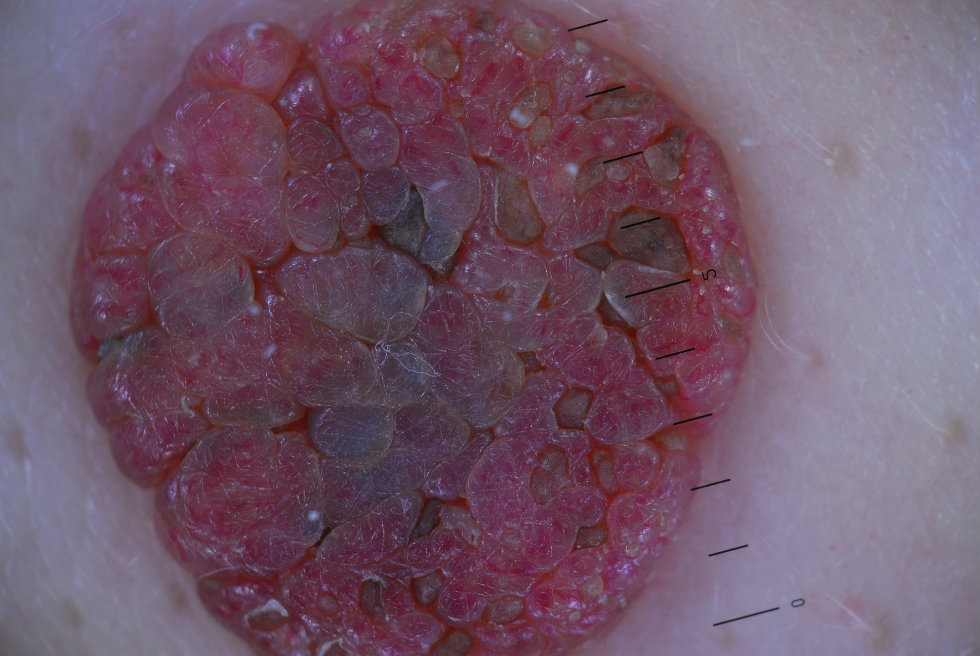 IMG7301_1167DSC_0033