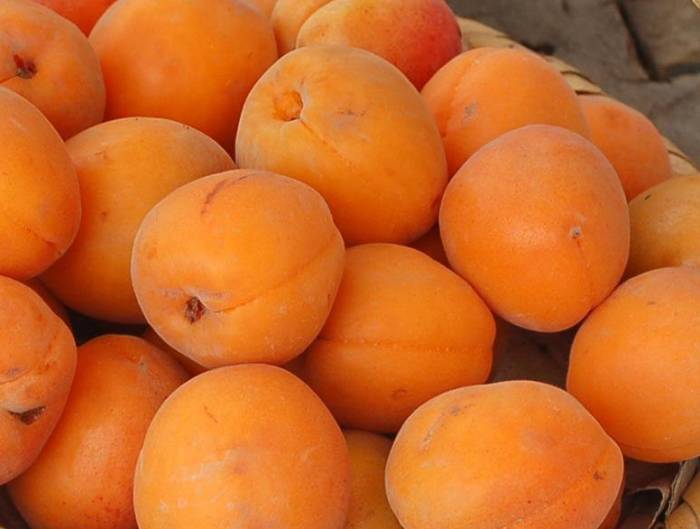Абрикосы