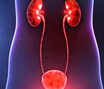 Инфекции мочевыводящих путей: симптомы и лечение