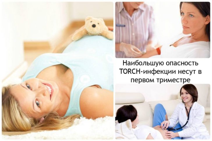 Наибольшую-опасность-TORCH-инфекции-несут-в-первом-триместре-1024x683