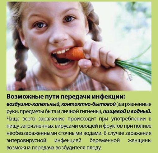 пути передачи